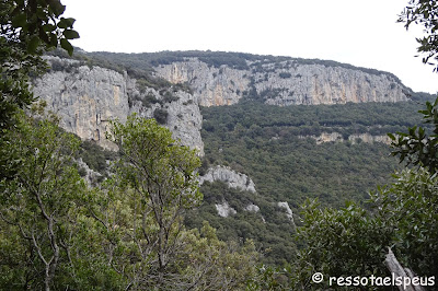 El Mont des de Beuda