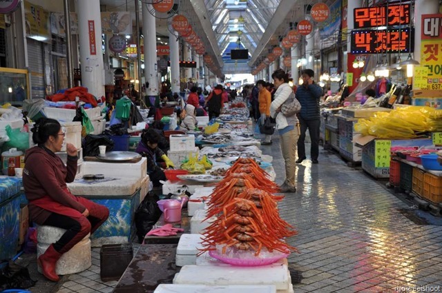 Fisheries Market in Sokcho