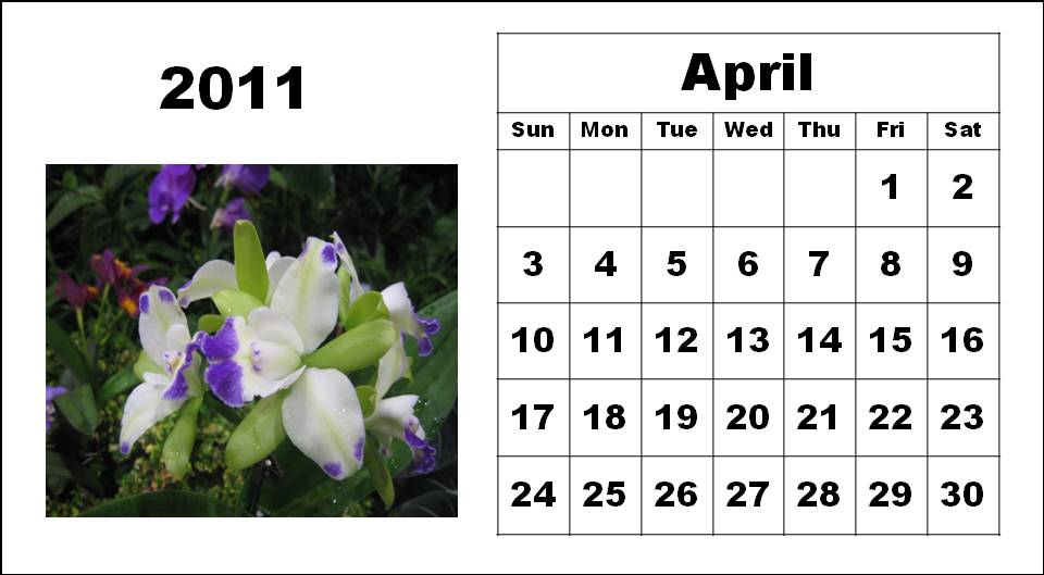 april calendar template 2011. CALENDAR TEMPLATE 2011 APRIL