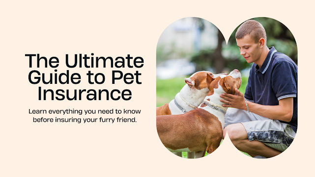 The -Ultimate- Guide -to -Best -Pet -Insurance