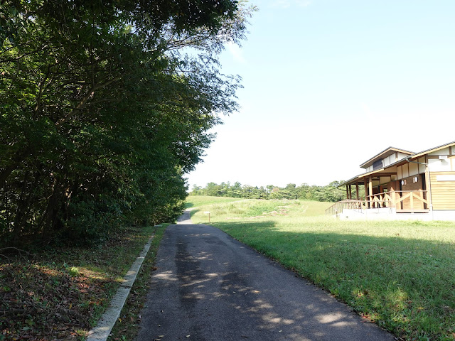 むきばんだ史跡公園の弥生の森の遊歩道