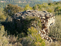 Barraca de vinya a prop del Camí de Castellnou