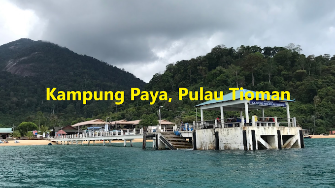 Paya Village (Kampung Paya), Pulau Tioman : Panduan Lengkap Termasuk Tarikan, Penginapan & Aktiviti 