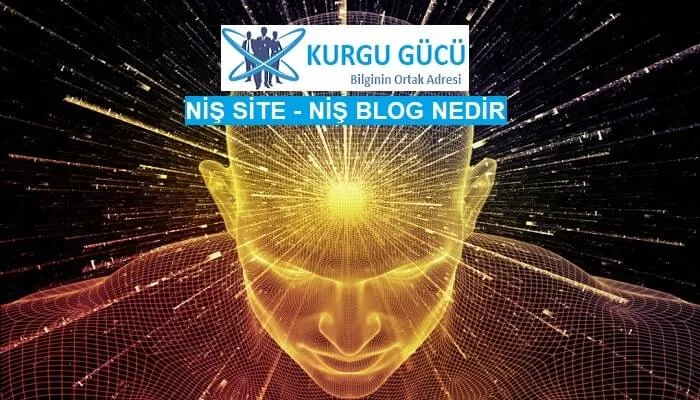 Niş Site / Niş Blog Nedir? - Kurgu Gücü