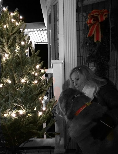 golden retriever dog decorating Christmas tree