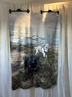 stunning photo blanket with dogs