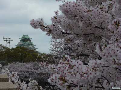 大阪城と桜