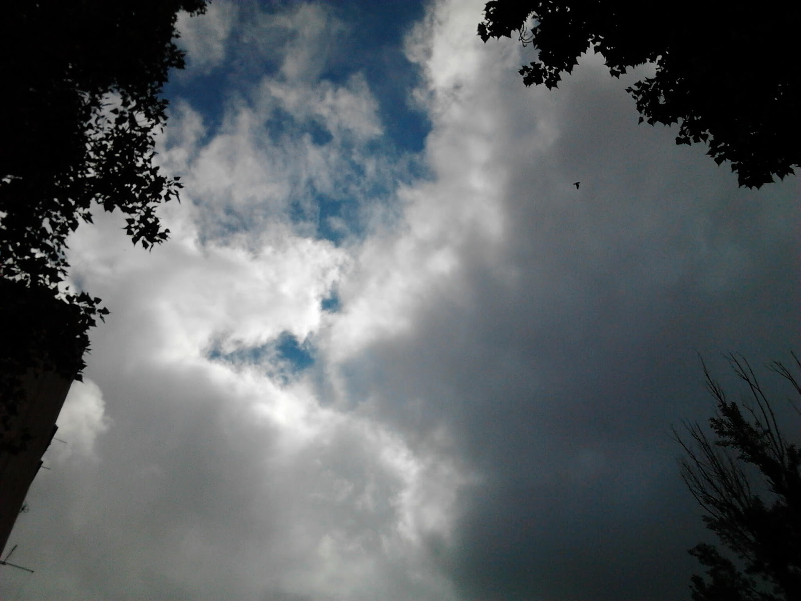 У дома.
Завершение прогулки после зарядки ( фото слева ).
((( i ))) Феномен, резонанс ( дождевые тучи, дождя нет ).
Погода в Херсоне: пасмурно, штиль / image22 / 2020.05.29 / 09:27
