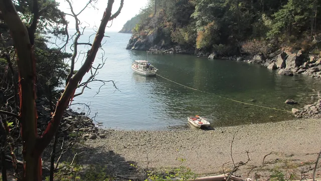 Lummi Island anchor cove campground