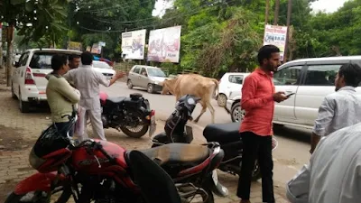 Bull Attack 3 People Injured Sultanpur Uttar Pradesh