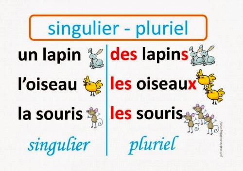 Pluriel des noms et des adjectifs