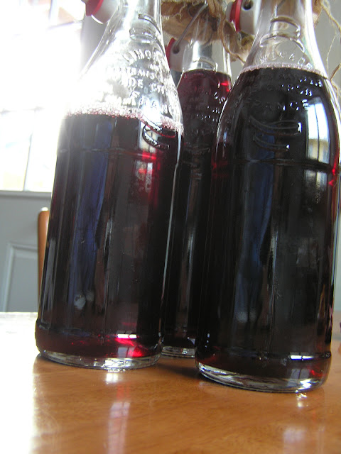 lacto-fermented grape soda