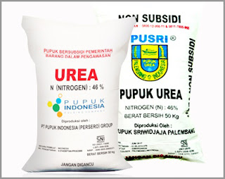 Pupuk Urea