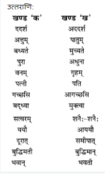 NCERT Solutions for Class 10 Sanskrit Shemushi Chapter 2 बुद्धिर्बलवती सदा