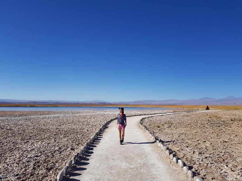 Laguna Cejar Deserto do Atacama