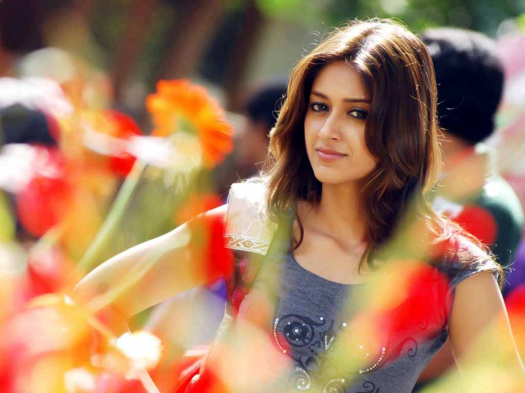 NR Wallpapers 2014: Ileana D'cruz Wallpapers 2013