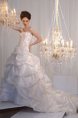 The Elegant Romantic Wedding Gown