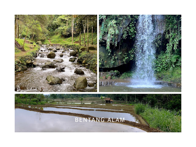 OUTBOUND BENTANG ALAM DI LEMBANG | Konsep Edukasi Konservasi