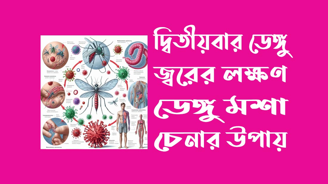 ডেঙ্গু মশা চেনার উপায়