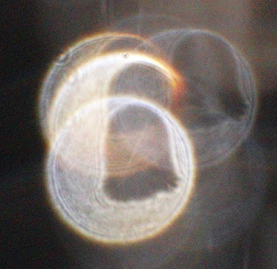 see-through orb hole