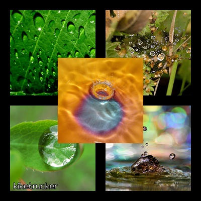 Wallpapers agua y naturaleza HD 