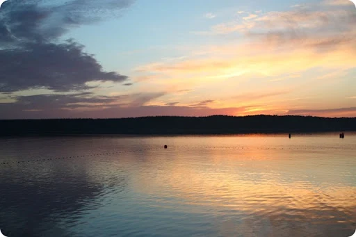 seliger_2011-07-14 22-32-14