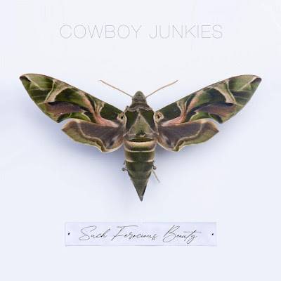 Such Ferocious Beauty Cowboy Junkies Album