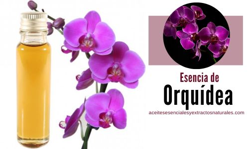 esencia de orquídea para que sirve