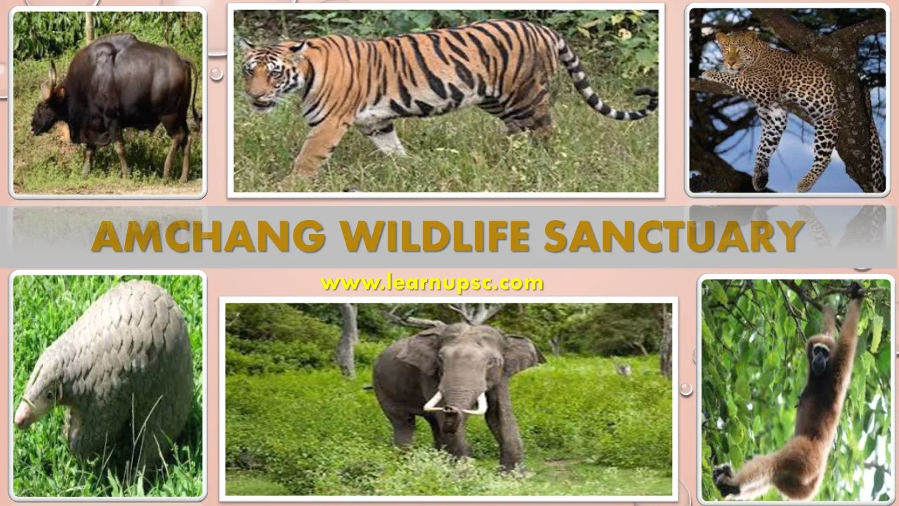Amchang Wildlife Sanctuary