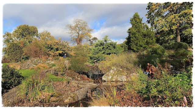 Flotte høstfarger på Skandinavisk rygg i Botanisk hage på Tøyen i Oslo.Flotte høstfarger på Skandinavisk rygg i Botanisk hage på Tøyen i Oslo.