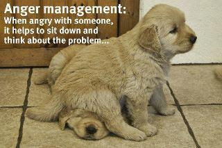 Anger management: When angry with someone, It helps to sit down and think about the problem.