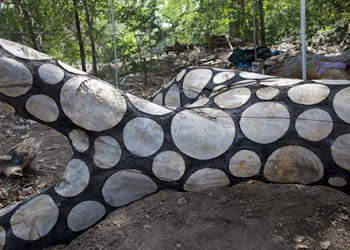 Stuart Frost, talla arboles con motivos geométricos mostrandonos una naturaleza renovada y ludica