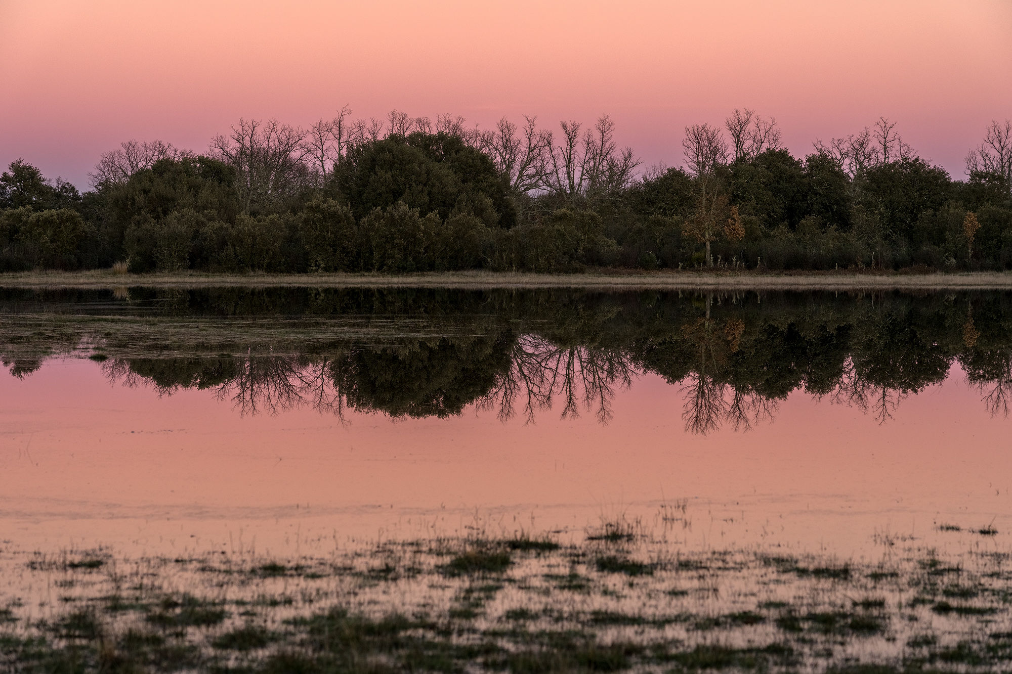 Paisaje de Atardecer con reflejo en lagunas en Zamora con el cielo morado del alpenglow