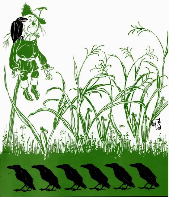 The Scarecrow hangs among the corn, with a crow on his shoulder and more on the ground.