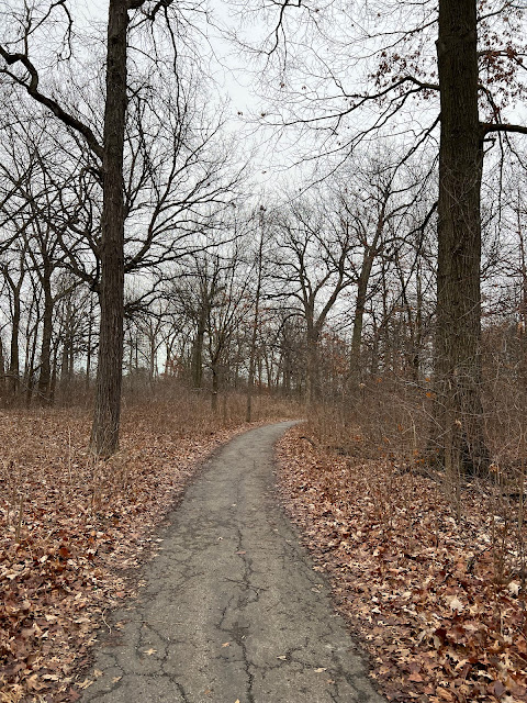 A paved trail leads through the woodlands of Emily Oaks Nature Center.