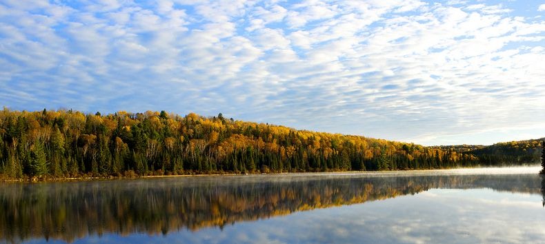 Algonquin- Park-5 Algonquin- Park-5