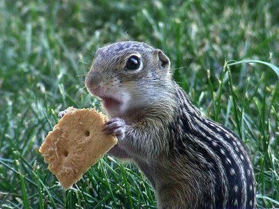 i am eating get away!!!