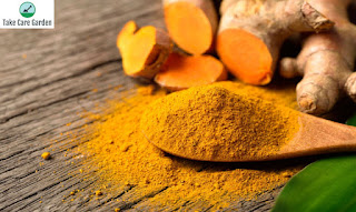 What Is Curcumin? Health Benefits, Dosage, and Side Effects