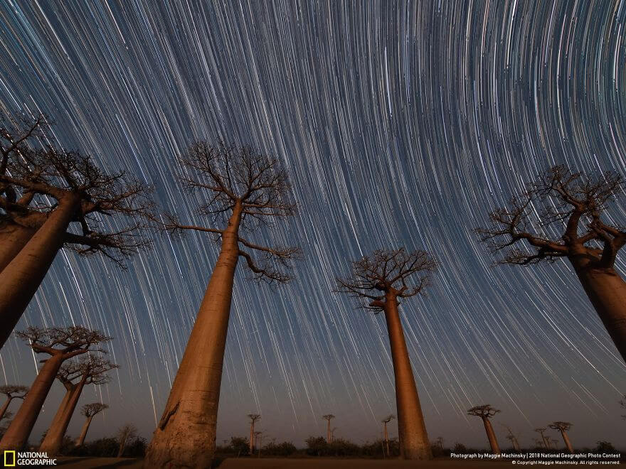 50 Breathtaking Photos Of 2018's National Geographic Photo Contest