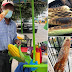 Vende elotes por la Guanajuato, y aumenta sus clientes