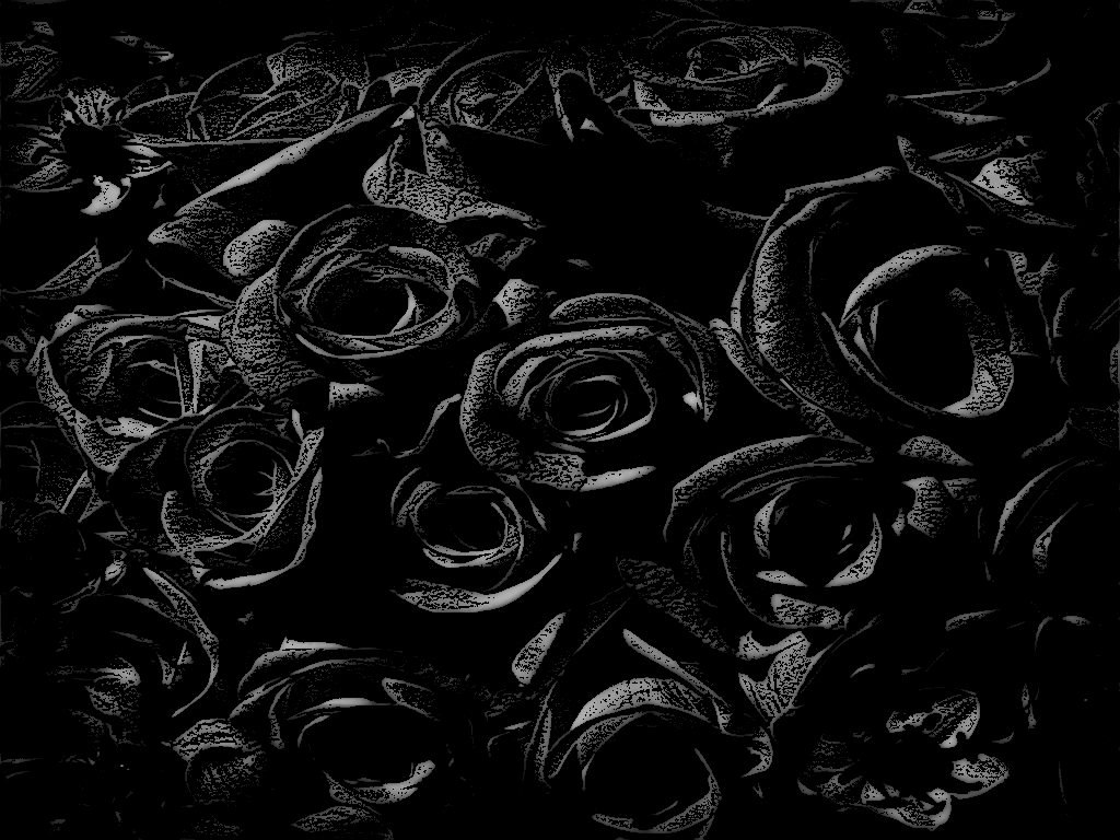 Black Rose