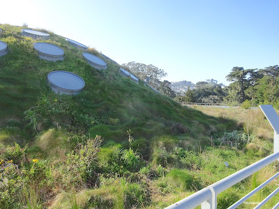 hills on Cal Academy roof