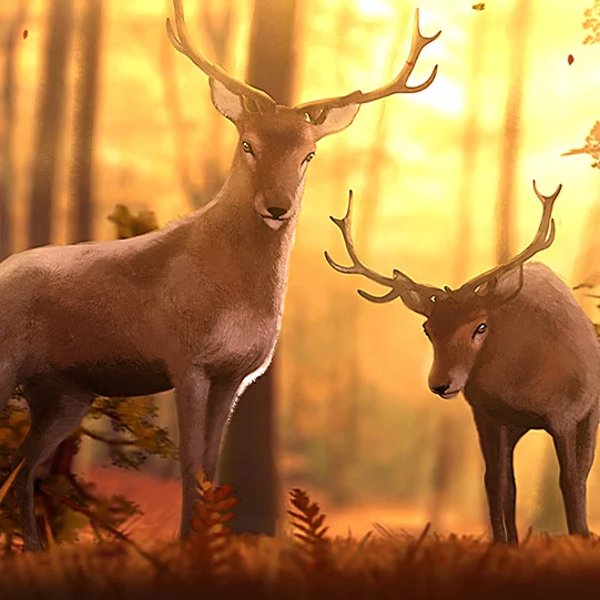 Woodland Creatures Wallpaper Engine