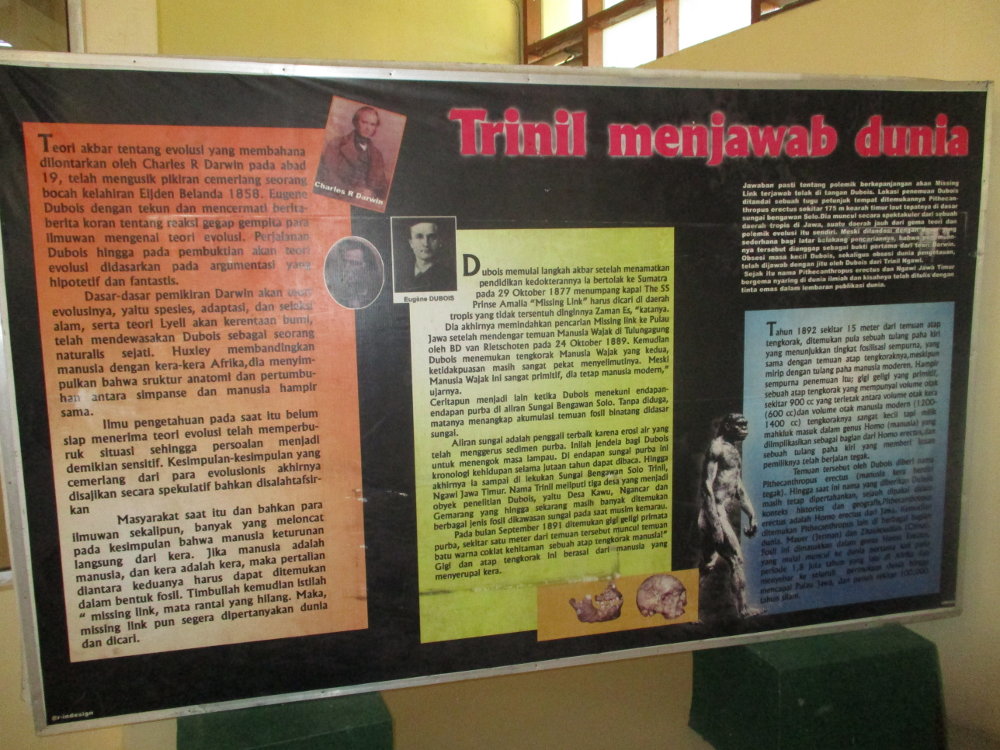 Sejarah Museum Trinil