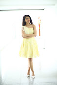 Raashi Khanna new glam photo shoot-thumbnail-15