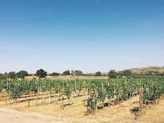 Nature, Fotografias de natureza, Castelo de Vide