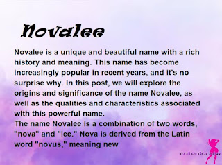 meaning of the name "Novalee"