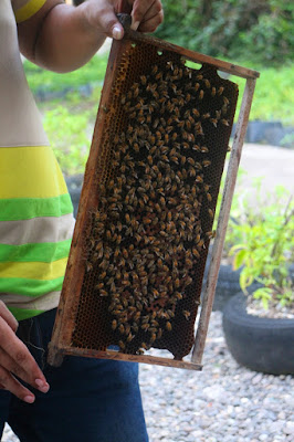 Bohol Bee Farm