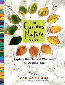 http://www.storey.com/books/the-curious-nature-guide/