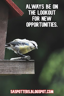 Always be on the lookout for new opportunities.